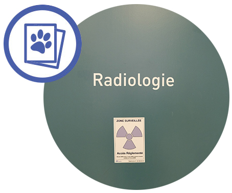 Imagerie médicale